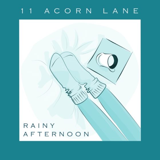 11 Acorn Lane - Rainy Afternoon