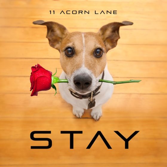 11 Acorn Lane - Stay